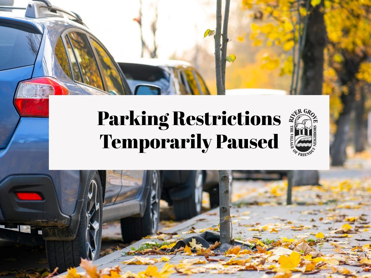 Parking Restrictions paused cover page with cars in background